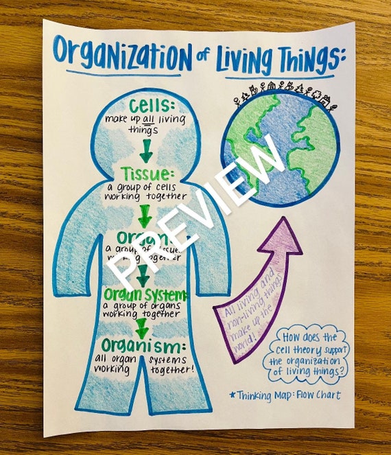 Living Things Anchor Chart Kindergarten Anchor Charts