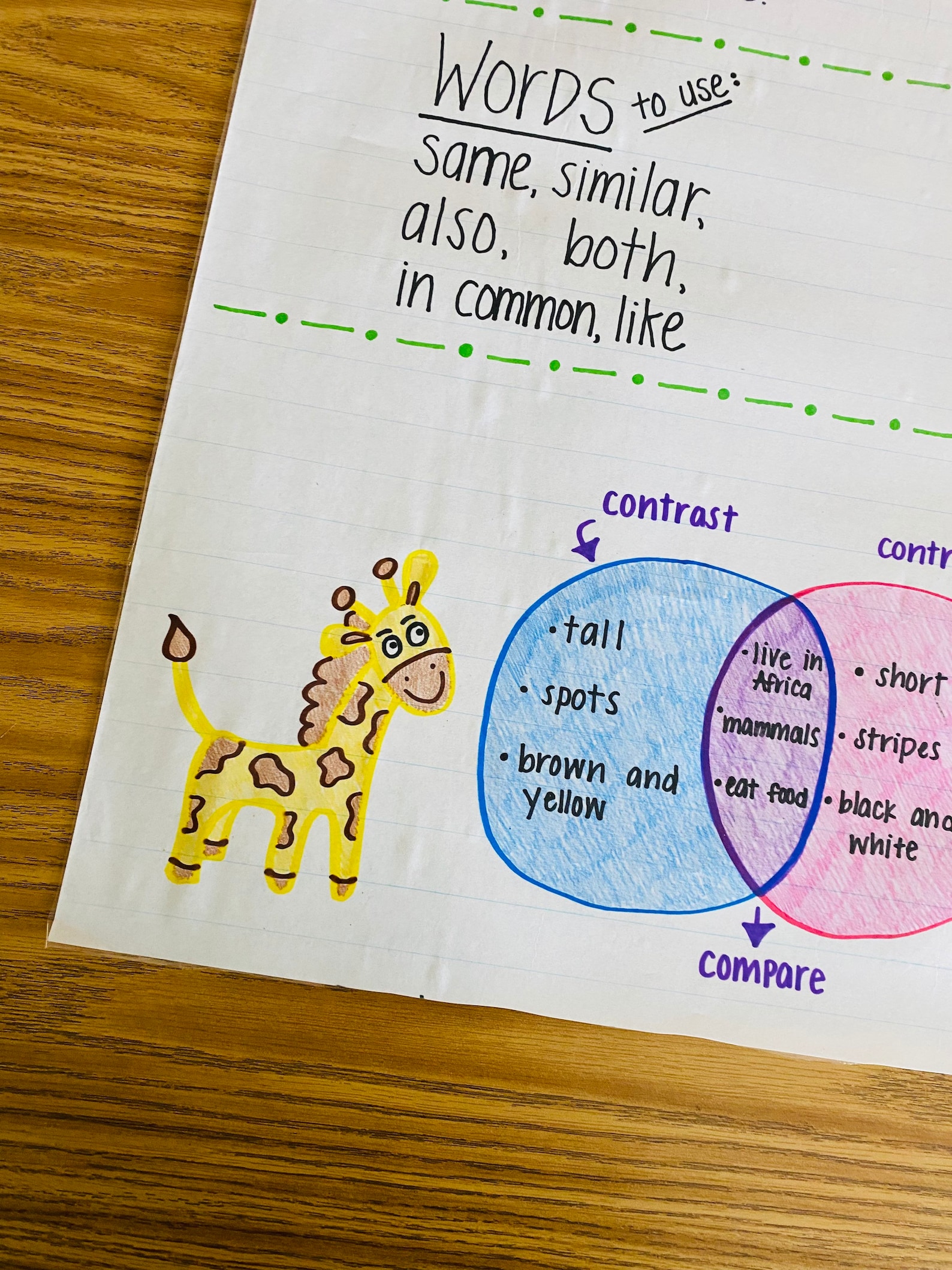 Compare/contrast Anchor Chart - Etsy