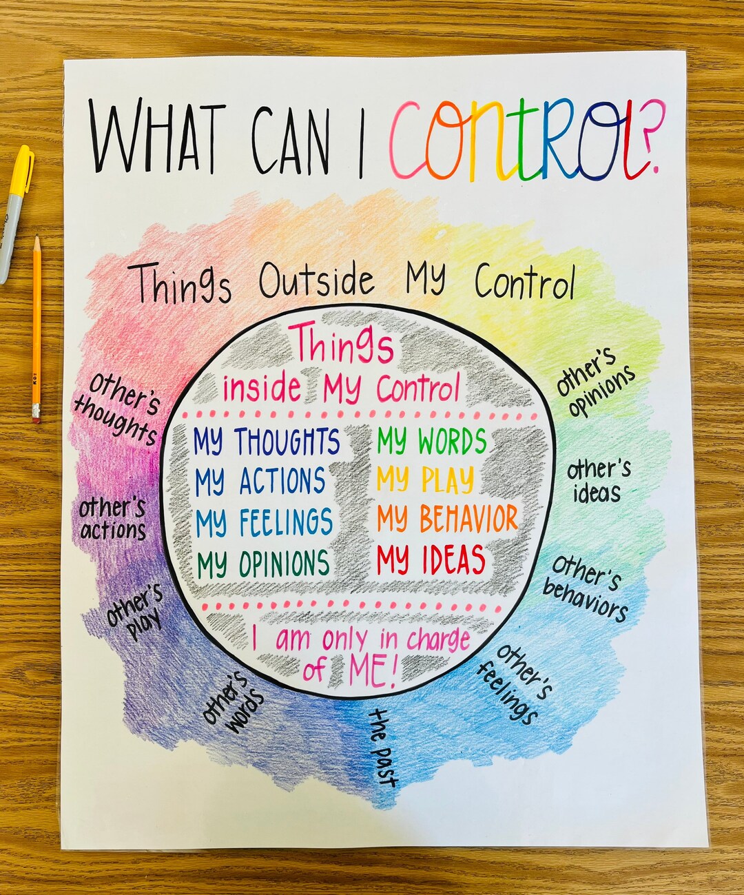 Whats in My Control Anchor Chart - Etsy