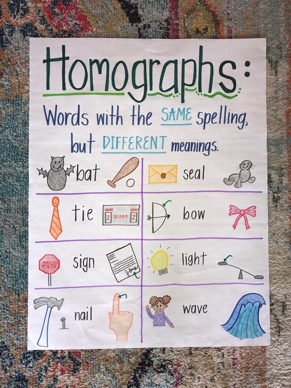 Homographs Anchor Chart Etsy