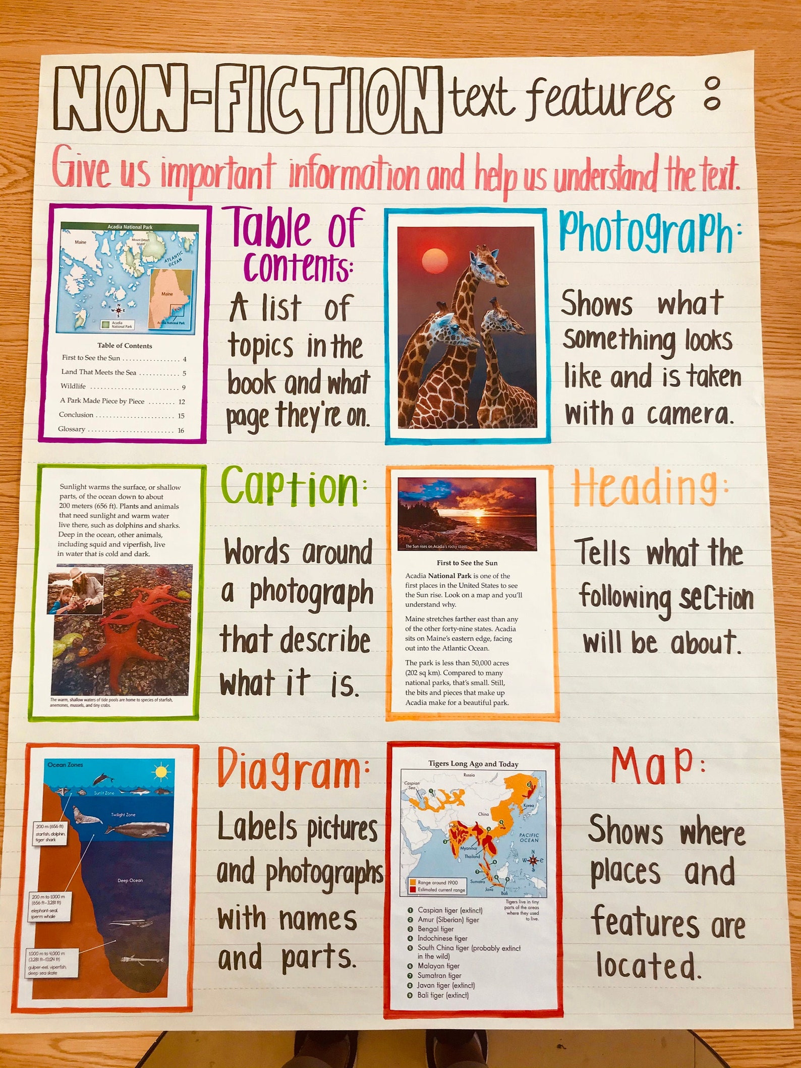Non-Fiction Text Features Anchor Chart | Etsy