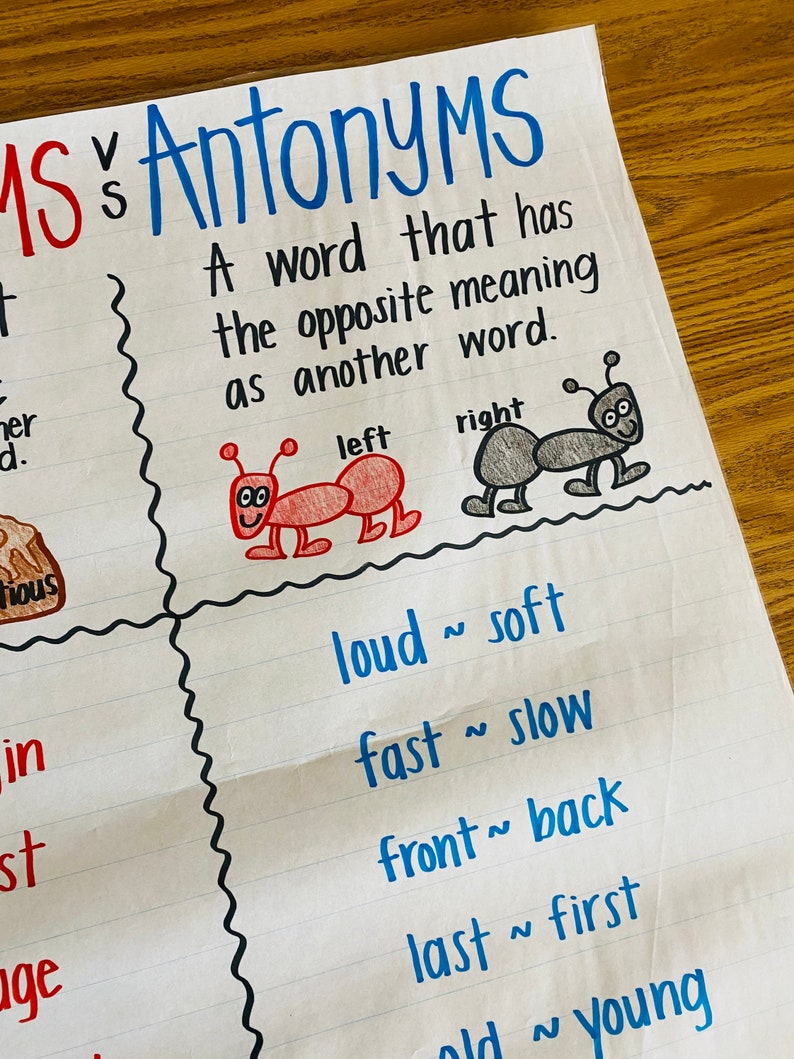 Synonyms and Antonyms Anchor Chart Etsy