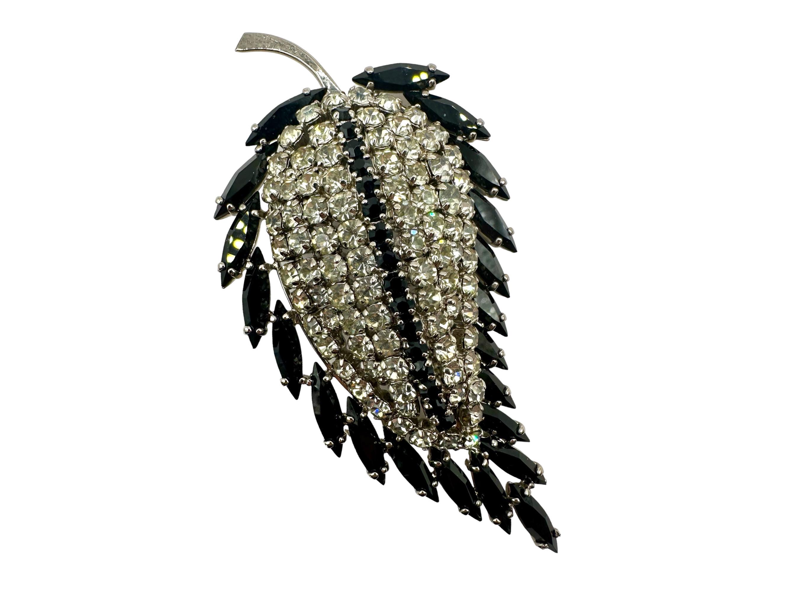 Max Muller Brooch - Etsy