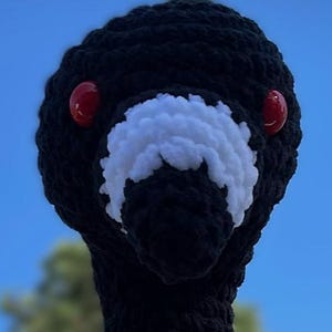 May include: A handmade, black crochet bird head with a white chest and two red, round eyes. The bird's head is set against a blue sky background. The crochet work appears to be thick and textured.