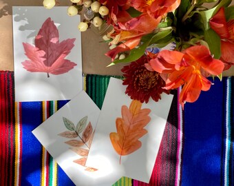 Watercolor Fall Leaves Print Set | Autumn Botanical Art