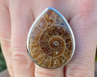 Madagascan Ammonite ring (size M 1/2 , 6.75) in 925 Sterling Silver - 24x32mm natural brown fossil- handmade