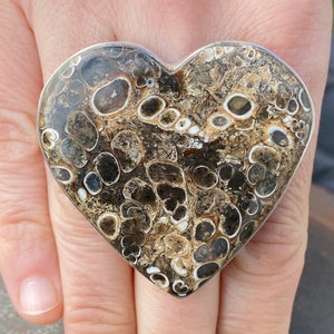 Turritella Agate ring (size P , 8) ring in 925 Sterling Silver - 47x47mm natural brown fossil gemstone- handmade