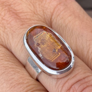 May include: A silver ring with an oval-shaped amber stone. The stone has a unique pattern of inclusions, giving it a distinctive look.