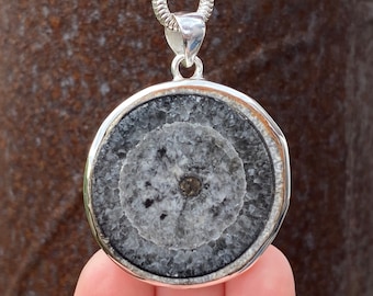 Natürlicher Orthoceras Querschnitt Anhänger in 925 Sterling Silber - 39x52mm handgemachter Anhänger - natürliches Fossil