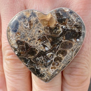 Turritella Agate ring (size S , 9.25) ring in 925 Sterling Silver - 41x38mm natural brown fossil gemstone- handmade
