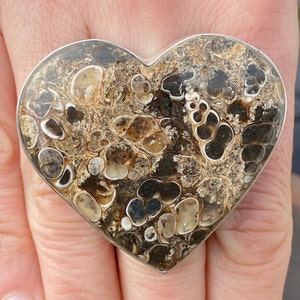 Turritella Agate ring (size P , 8) ring in 925 Sterling Silver - 46x42mm natural brown fossil gemstone - handmade