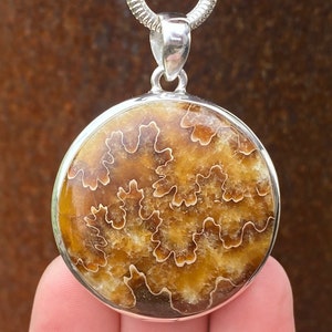 Madagascan Ammonite Suture pattern pendant in 925 Sterling Silver - 37x50mm handmade pendant - natural brown fossil