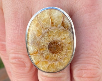Madagascan Ammonite ring (size N 1/2 , 7.25) in 925 Sterling Silver - 22x31mm natural brown fossil- handmade