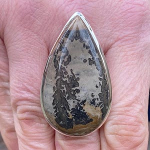 May include: A large, teardrop-shaped ring featuring a polished stone with a unique pattern of black and brown markings. The stone is set in a silver-colored metal band.