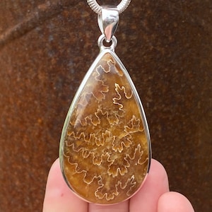 Madagascan Ammonite Suture pattern pendant in 925 Sterling Silver - 32x69mm handmade pendant - natural brown fossil