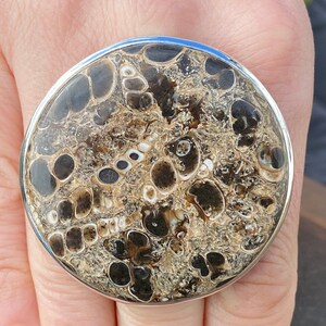 Turritella Agate ring (size R 1/2 , 9) ring in 925 Sterling Silver - 49mm natural brown fossil gemstone- handmade