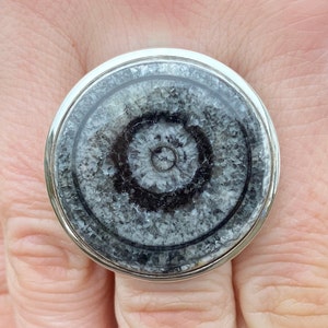 天然オルソセラス断面（サイズ O 1/2、7.75）リング、925スターリングシルバー製 - 29 mm モロッコ産黒とグレーの絶滅化石 - 手作り