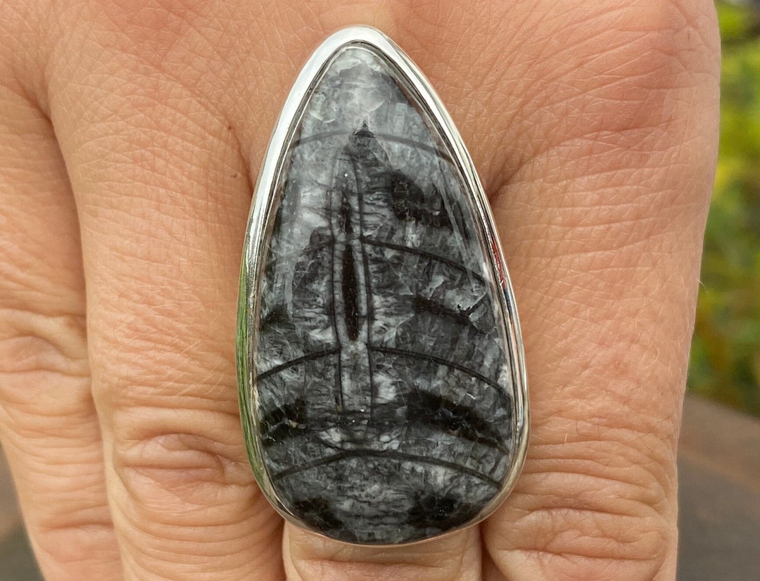 •TALON• turquoise + orthoceras + silver ring - SIZE 8