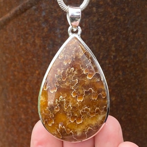 May include: A silver pendant featuring a teardrop-shaped ammonite fossil with a brown and white swirling pattern.