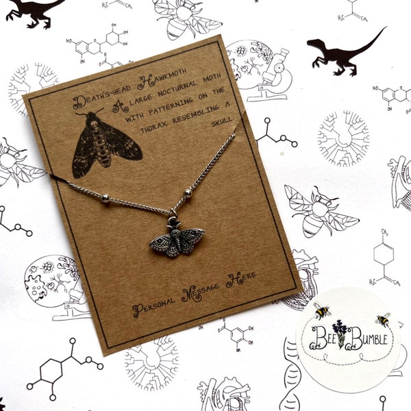 Collier Sphynx tête de mort avec carte de message personnalisée.