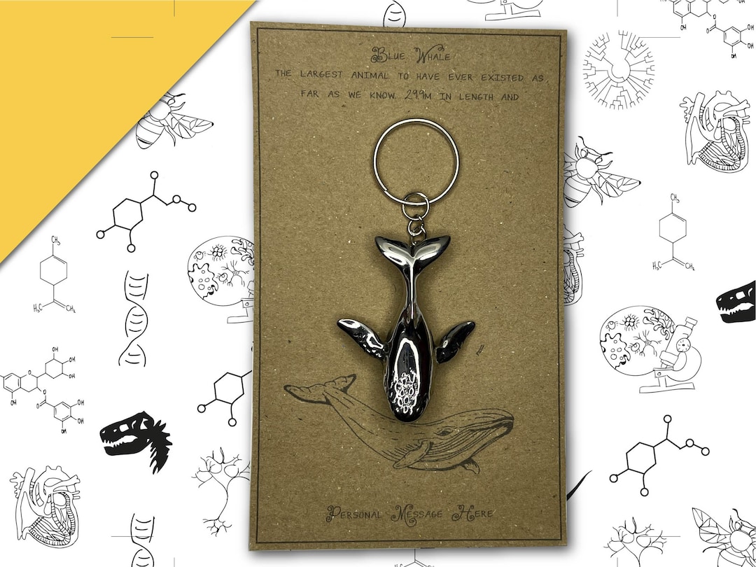 3D Blue Whale Keyring With Personalised Message Etsy