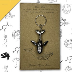 3D Blue Whale Keyring with Personalised Message