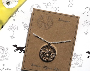 Phylogeny Tree of Life Necklace with Personalised Message