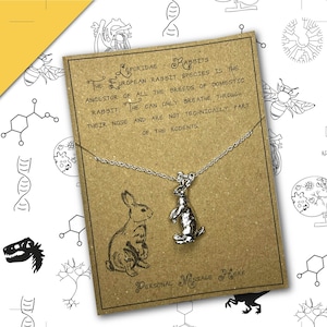 3D Rabbit Necklace with Personalised Message