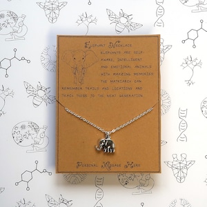 Elephant necklace with personalised message and optional elephant clasp.