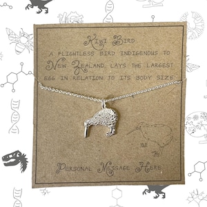 May include: A silver kiwi bird pendant necklace on a brown card. The card has text describing the bird's origin and egg size. The background features a white pattern with scientific and biological illustrations. The necklace is a charming piece.