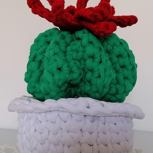 Peut inclure: Un cactus crocheté à la main dans un pot blanc. Le cactus est vert avec une fleur rouge. Le pot est blanc avec un bord tressé. C'est un objet décoratif.