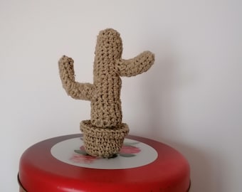 Small cactus in string height 16 cm