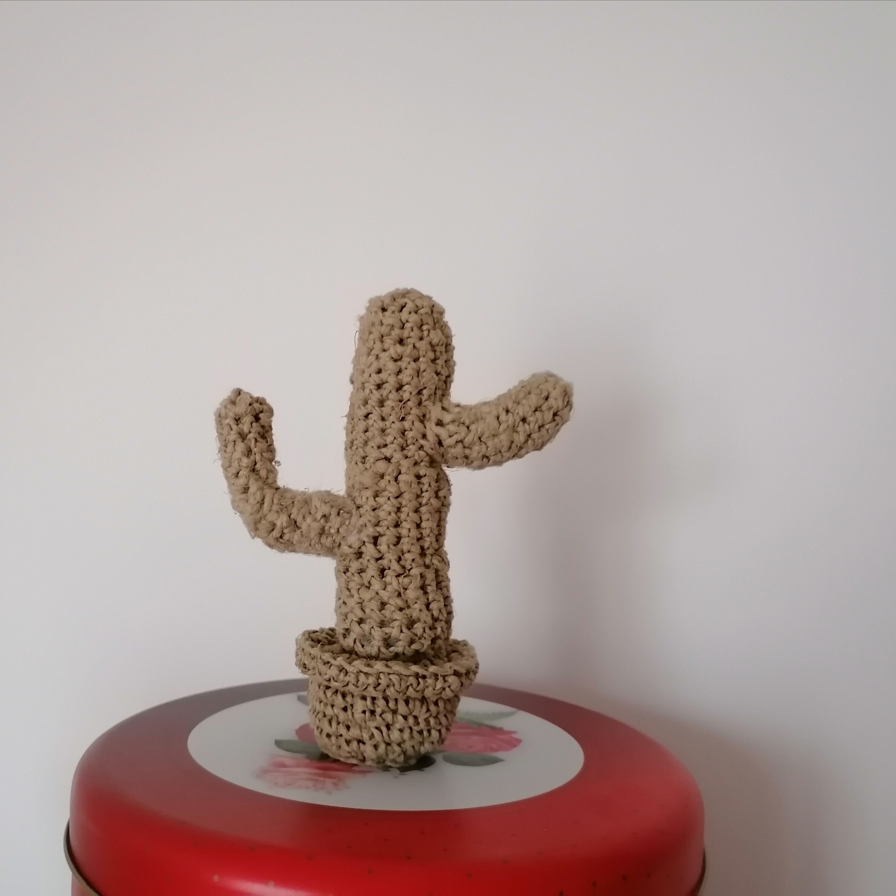 Petit Cactus en Ficelle Hauteur 16 cm