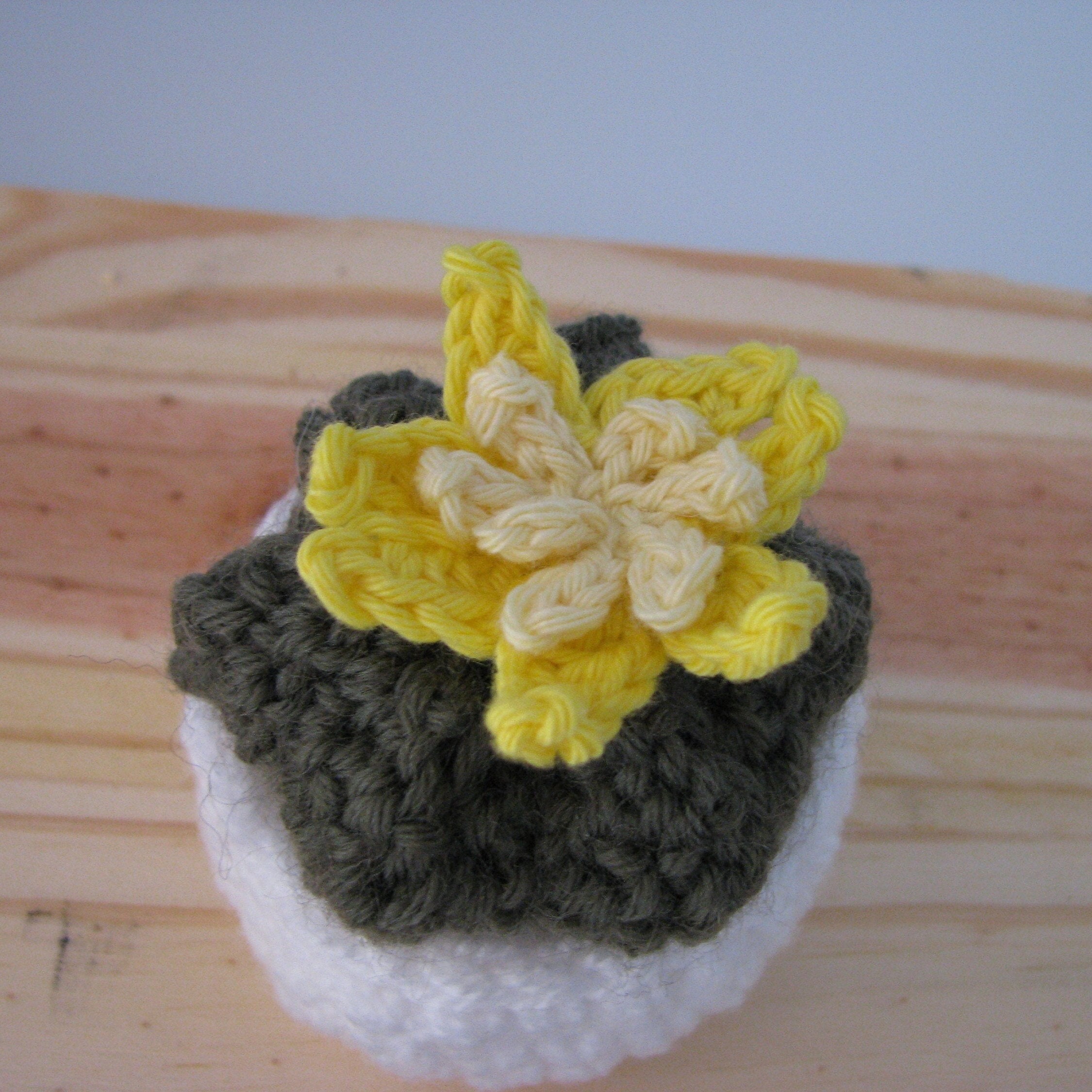 Petit Cactus Au Crochet