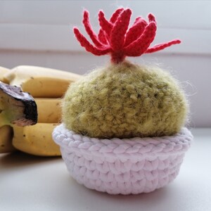 Peut inclure: Un cactus en crochet avec une fleur rouge sur le dessus, dans un pot en crochet blanc.