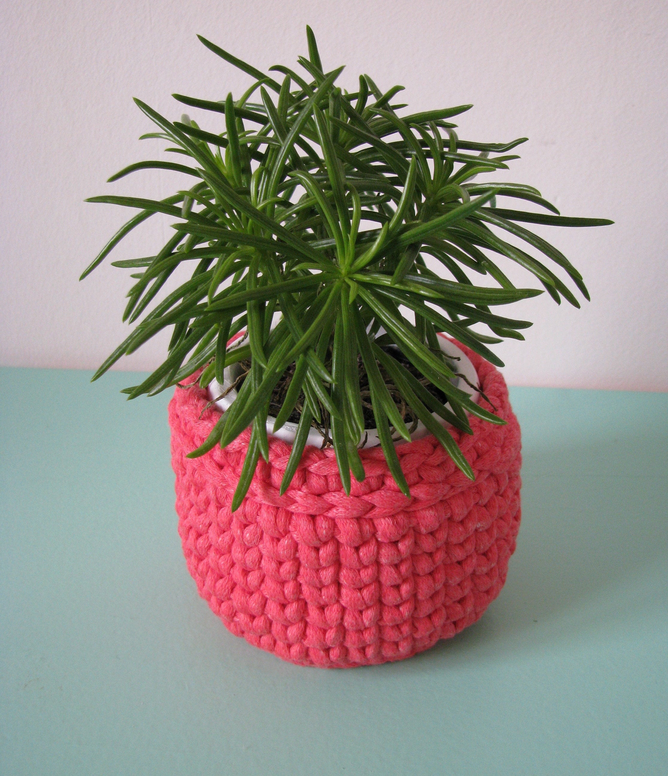 Petit Cache-Pot Au Crochet
