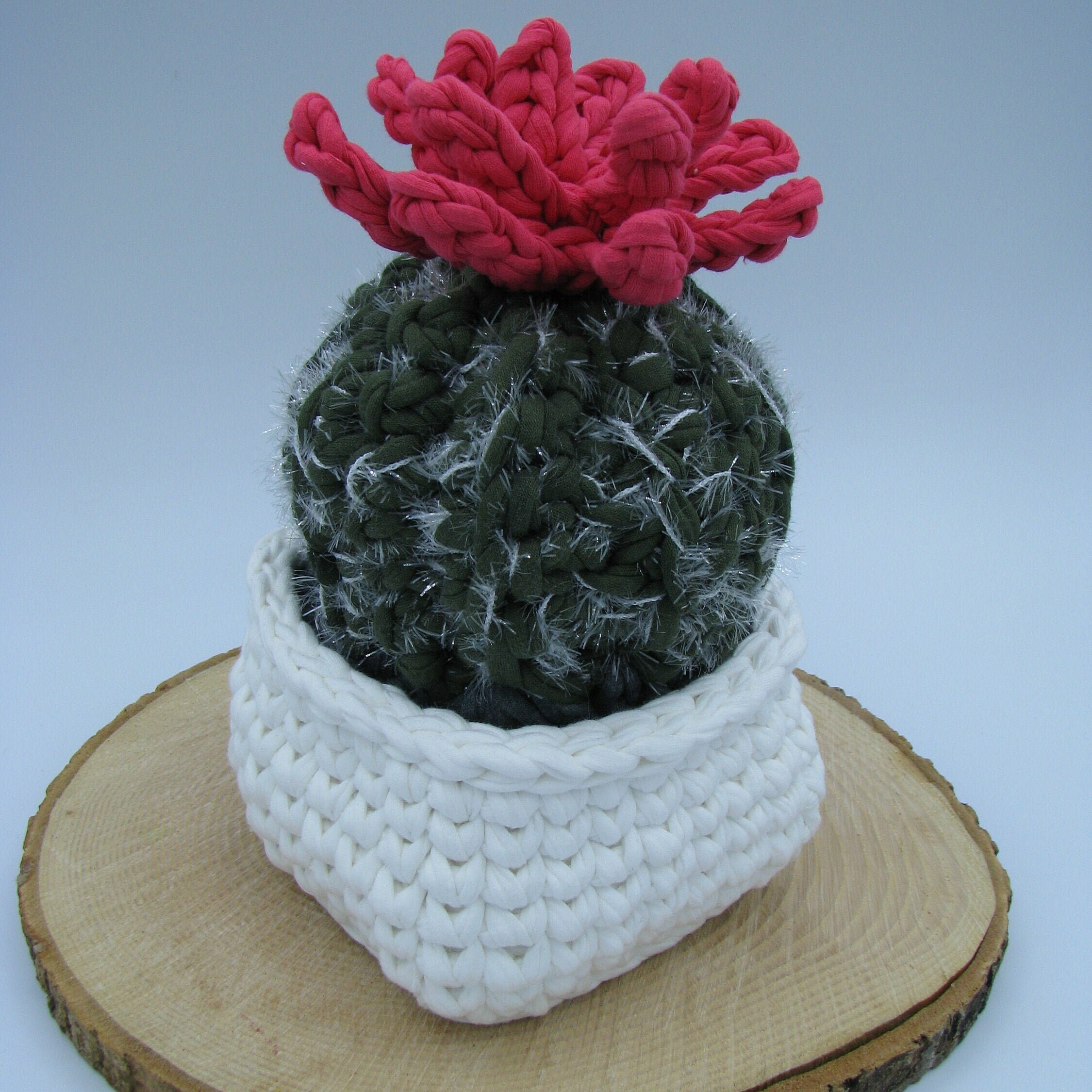 Gros Cactus Au Crochet