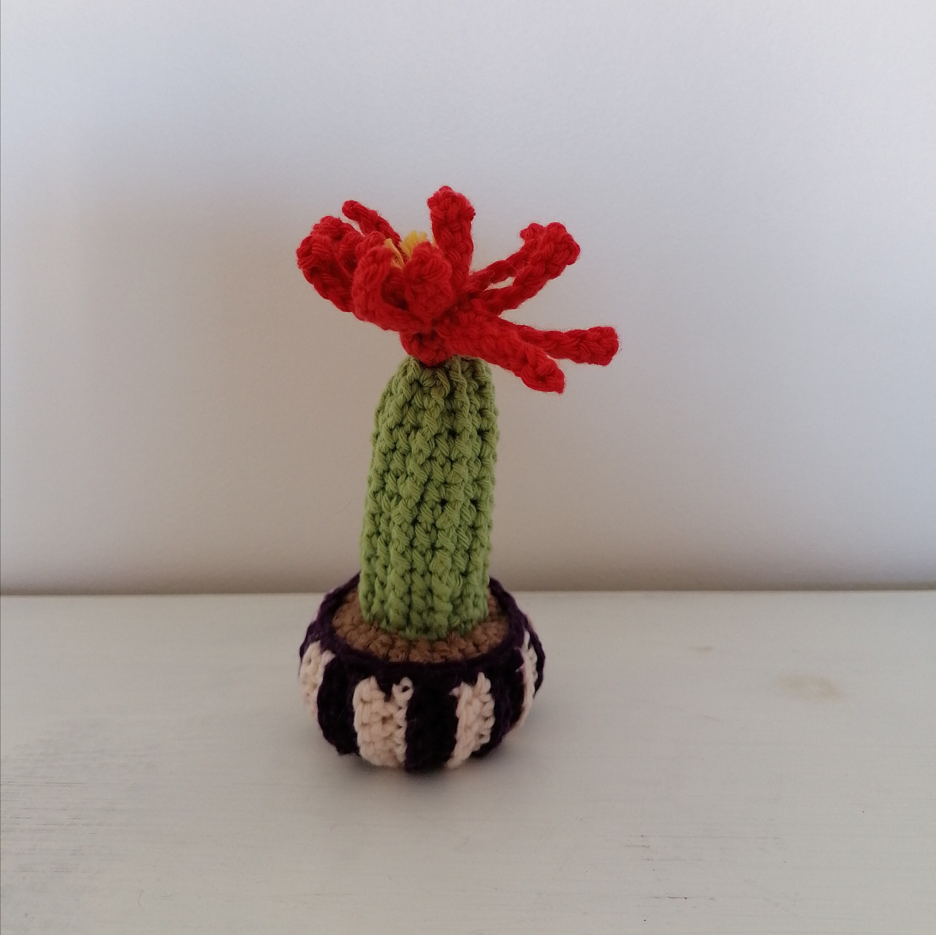 Petit Cactus Au Crochet Fleur Rouge