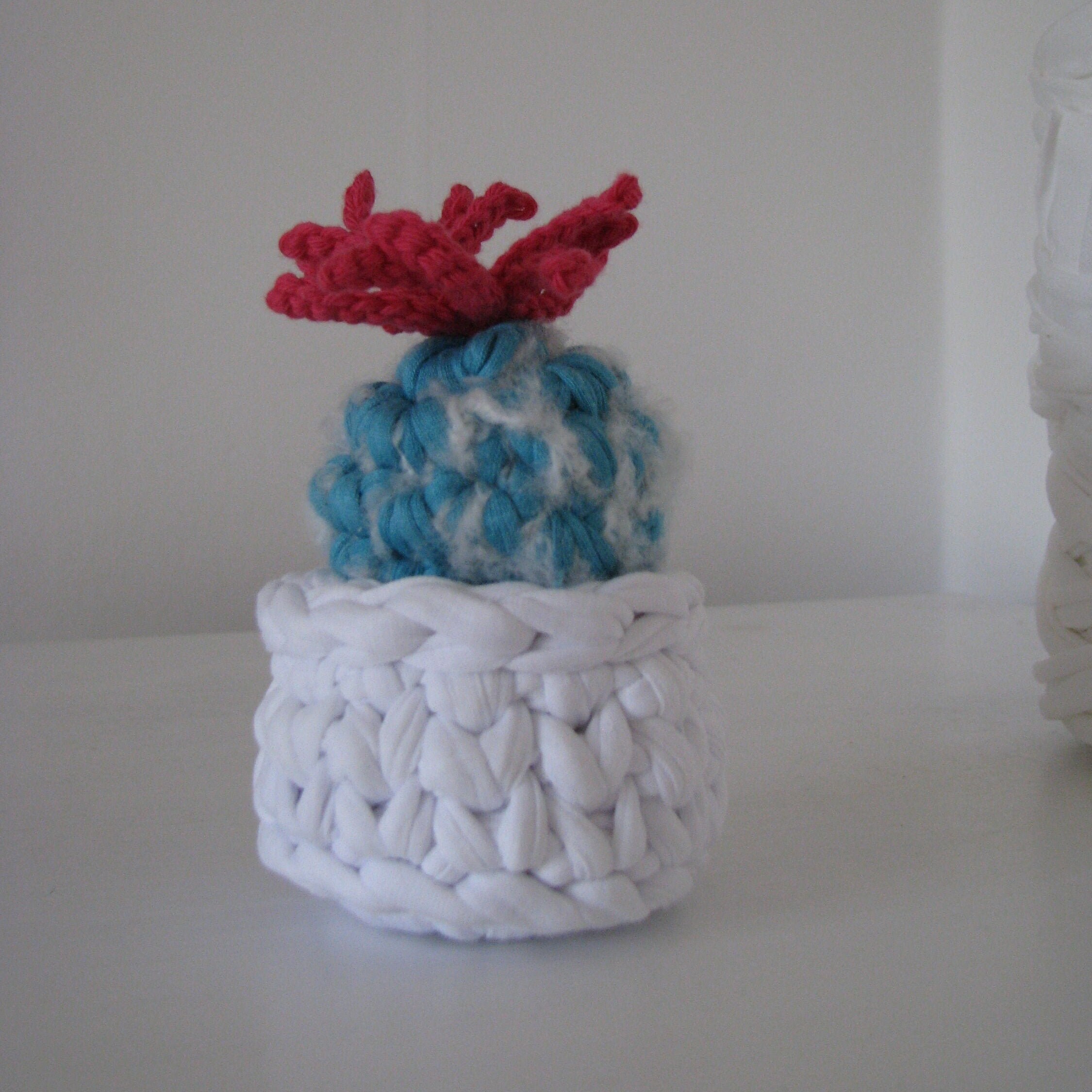 Petit Cactus Au Crochet