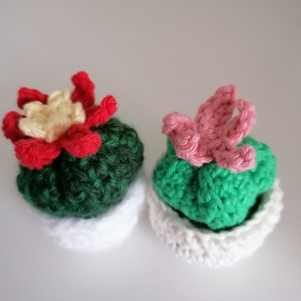 petits cactus fleuris au crochet