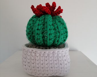 Cactus  décoratif avec fleur rouge au crochet