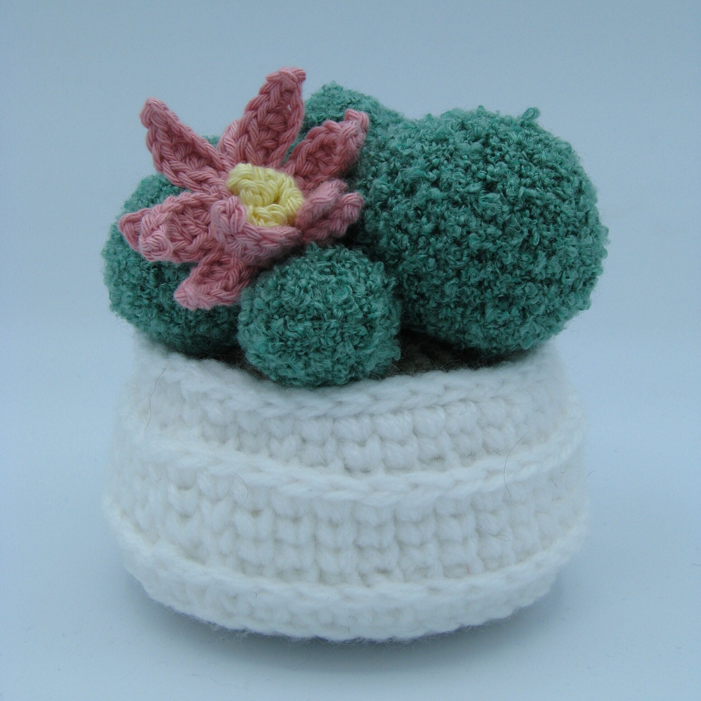 Cactus Boule , Fleur Rose Au Crochet