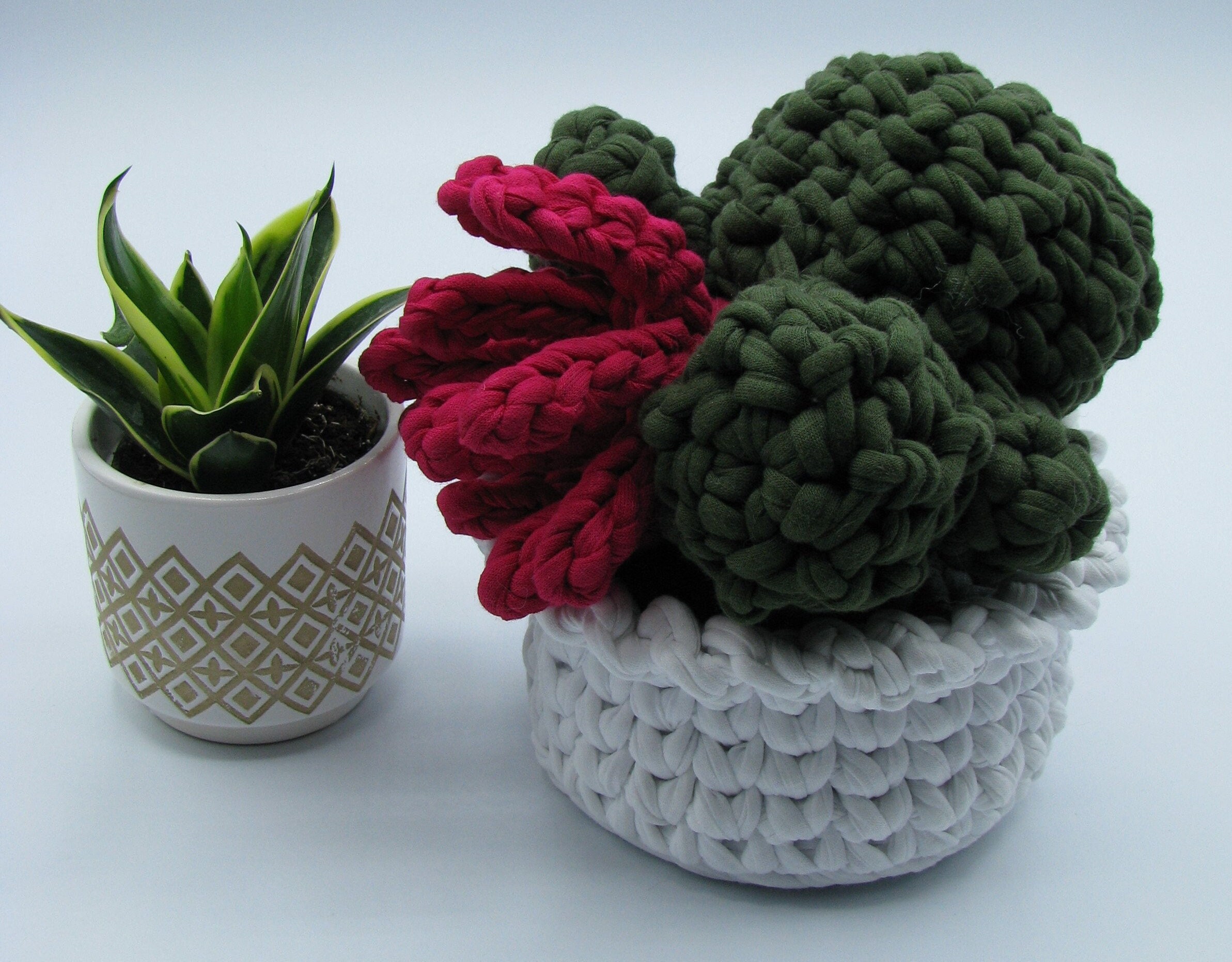 Cactus Grande Fleur Rouge Au Crochet
