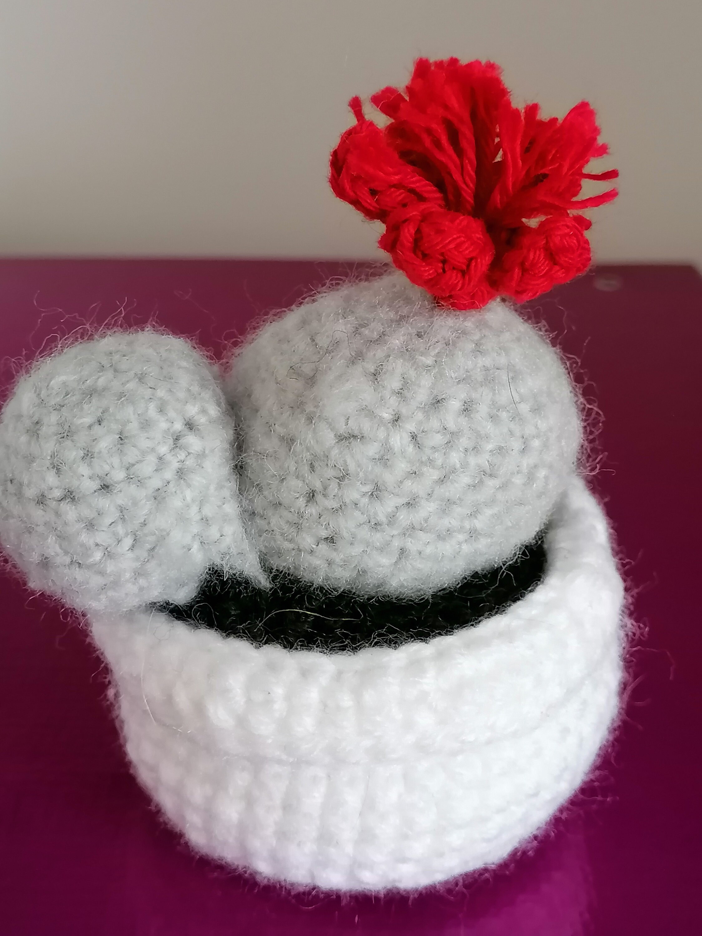 Faux Cactus Gris , Fleur Rouge, Au Crochet