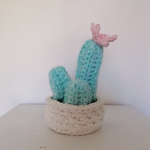 Peut inclure: Un cactus en crochet avec une fleur rose sur le dessus, dans un pot en crochet blanc.
