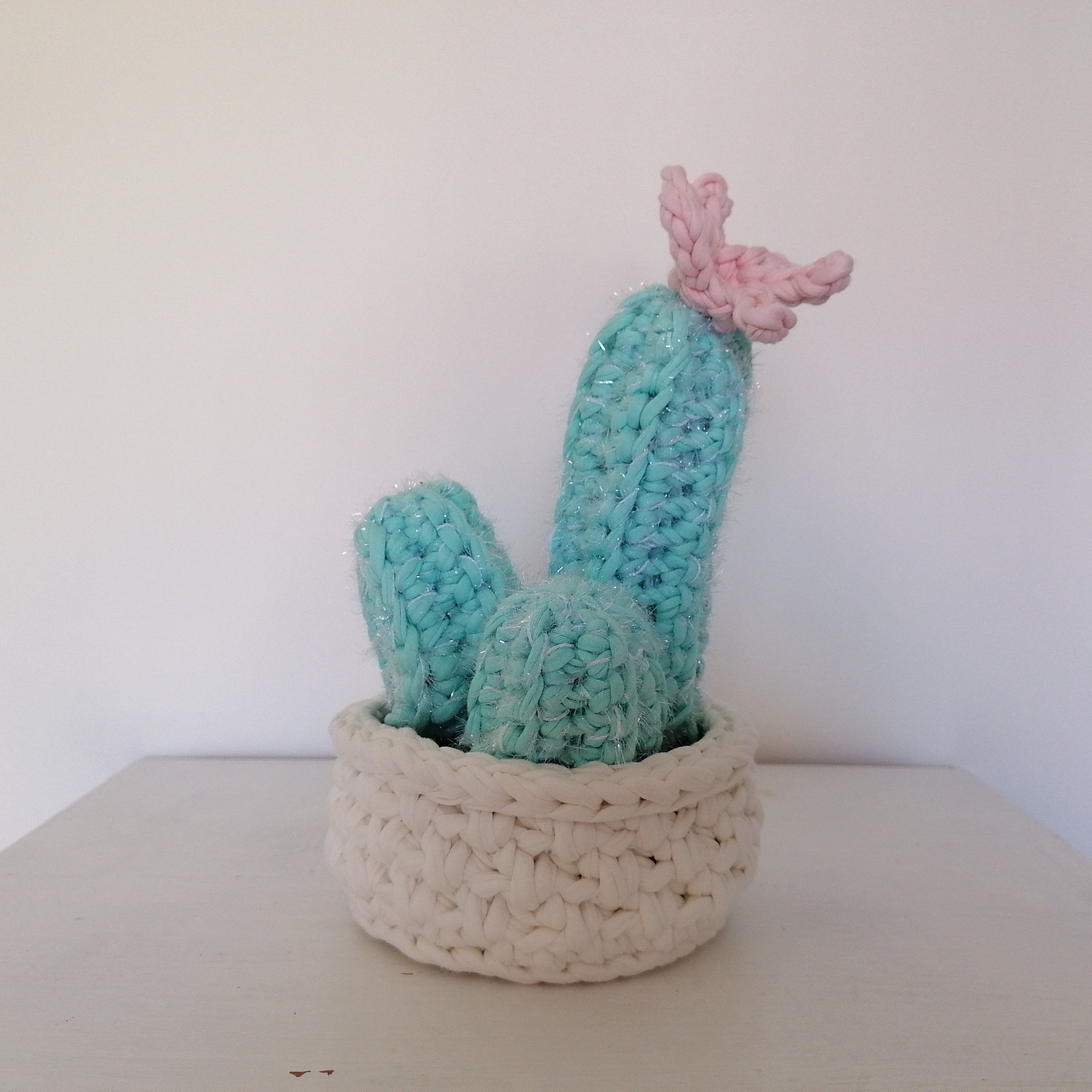 Cactus Fait Main Au Crochet