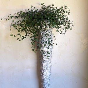May include: A wall-mounted planter with a long, tapered, textured white body resembling a stalactite. The top opening holds a trailing green plant with small, round leaves that cascade over the sides of the rough, porous white surface.