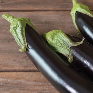 Eggplant Seeds, Solanum, Gorgeous Spineless Asian Eggplant, Turkish Delight