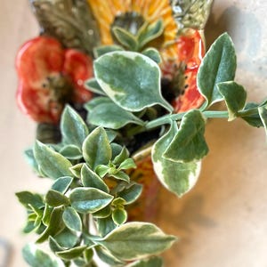 Puede incluir: Una maceta de cer&aacute;mica para colgar en la pared con un dise&ntilde;o floral, con un girasol y amapolas rojas. La maceta contiene una suculenta colgante con hojas verdes y crema. La paleta de colores incluye tonos de verde, amarillo, rojo y crema.