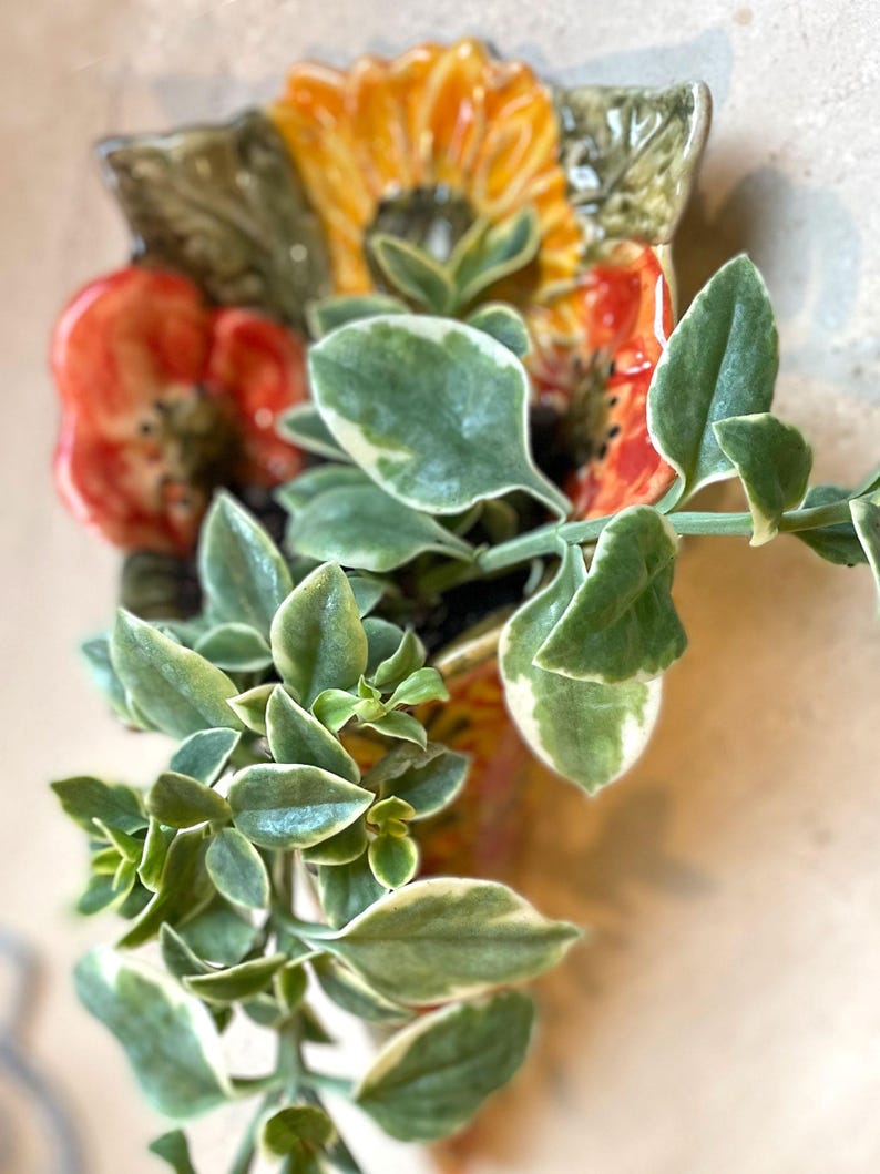 Puede incluir: Una maceta de cer&aacute;mica para colgar en la pared con un dise&ntilde;o floral, con un girasol y amapolas rojas. La maceta contiene una suculenta colgante con hojas verdes y crema. La paleta de colores incluye tonos de verde, amarillo, rojo y crema.
